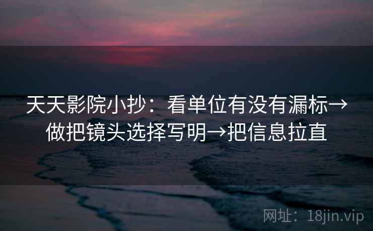 天天影院小抄：看单位有没有漏标→做把镜头选择写明→把信息拉直